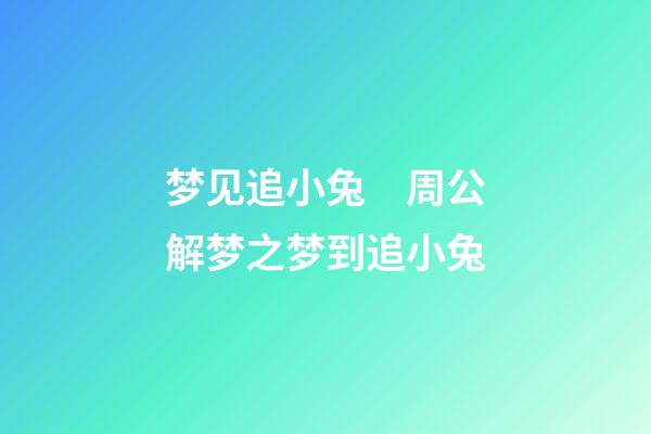 梦见追小兔　周公解梦之梦到追小兔